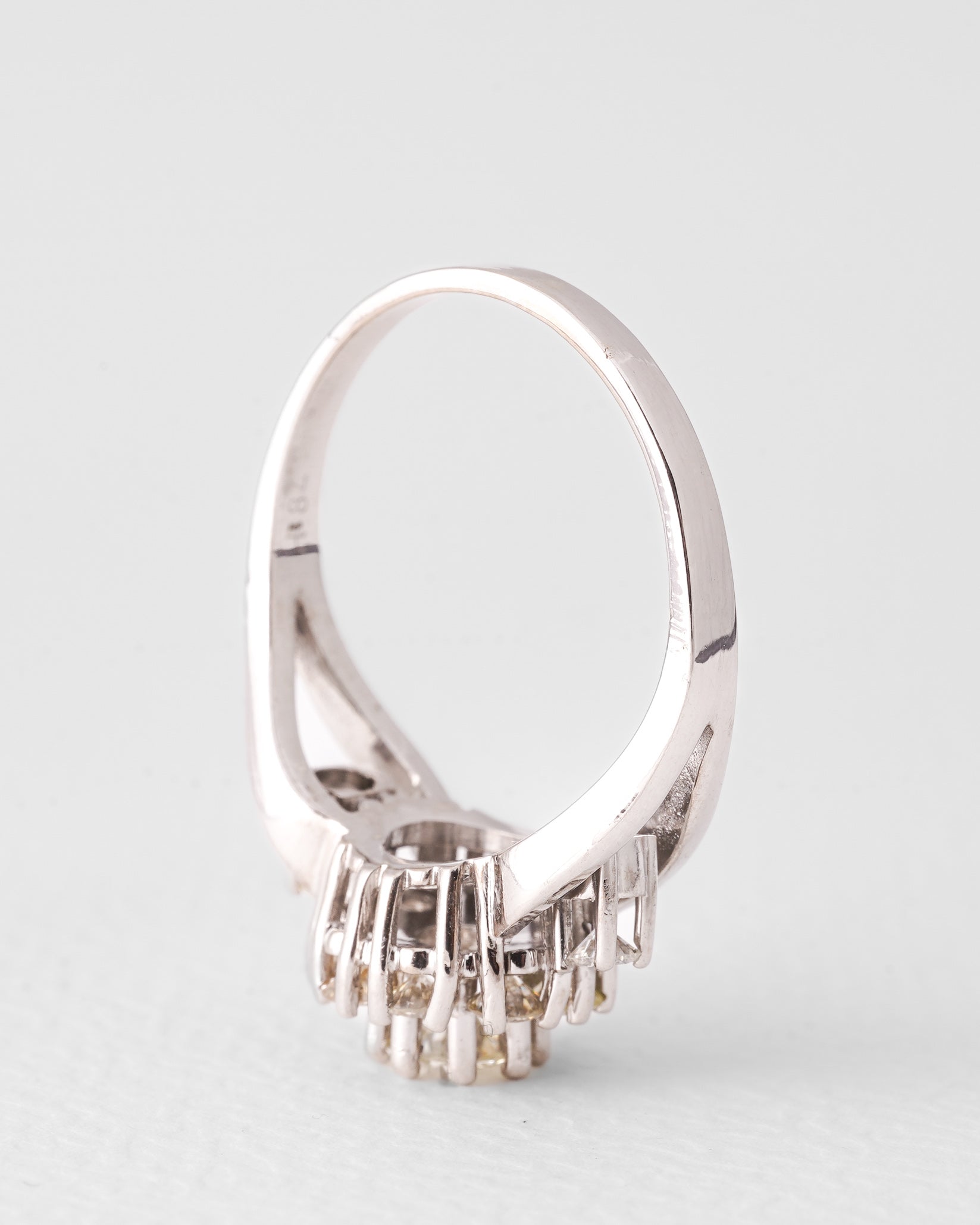 Elien | 14K Wit Goud Briljant (1ct) Cluster Ring