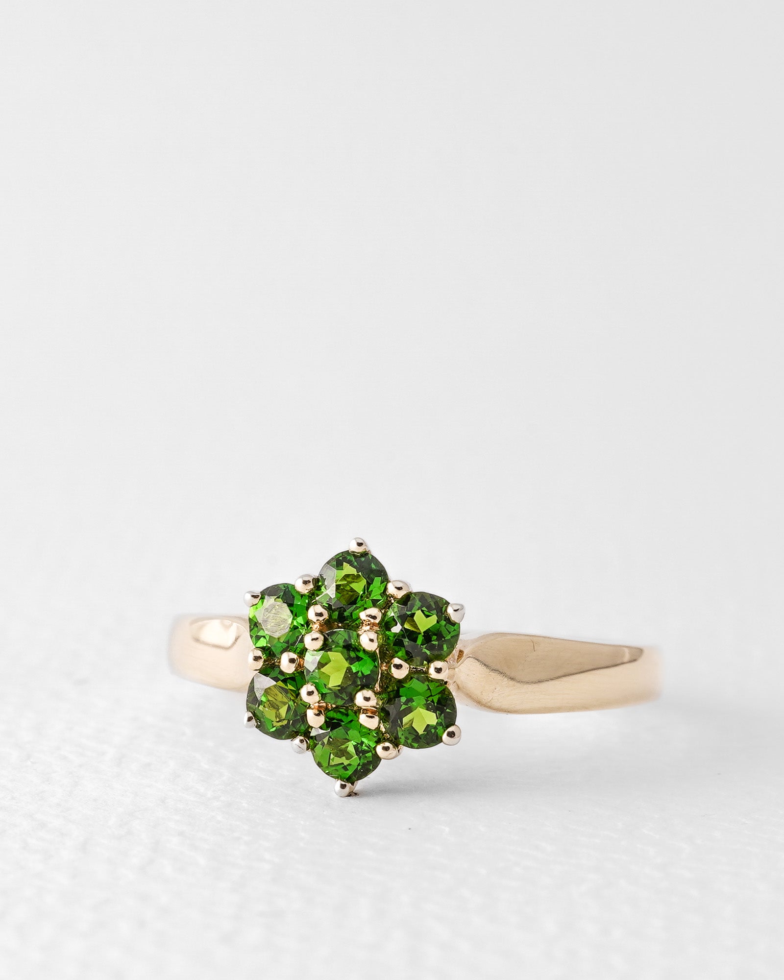 Elara | Vintage Diopsite Cluster