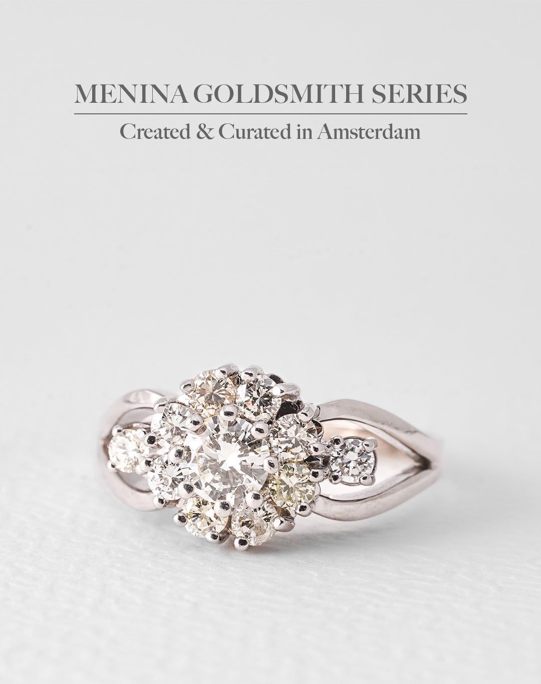 Elien | 14K Wit Goud Briljant (1ct) Cluster Ring