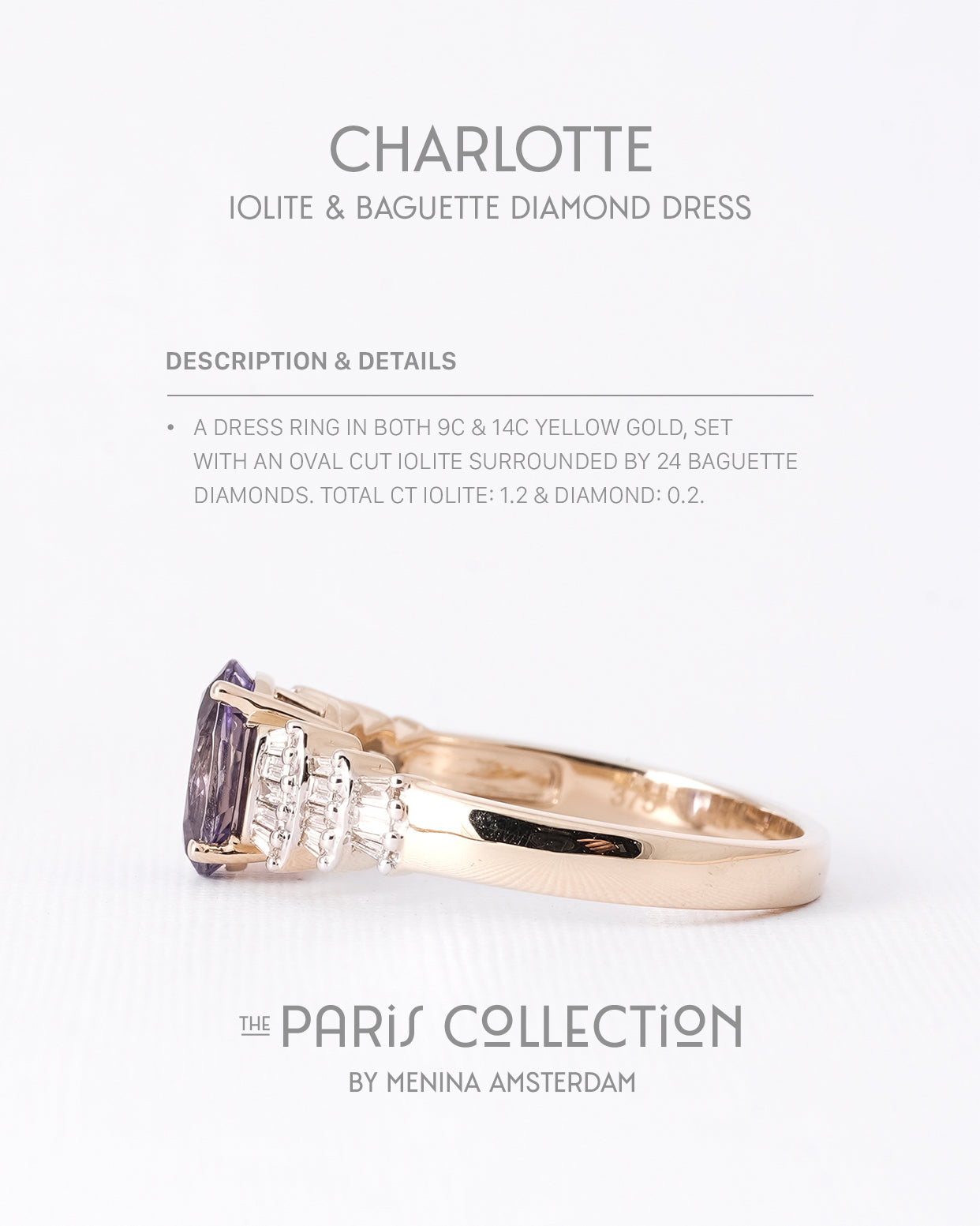 Charlotte | 9K & 14K Ioliet & Diamant Dress